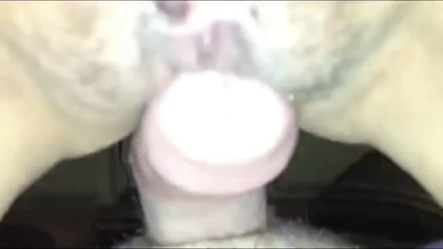 愛液ヌルヌル素股からの挿入