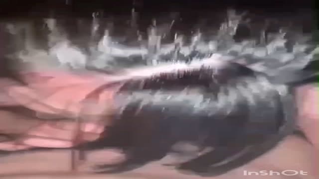某ヤリサーのハメ撮り 流出