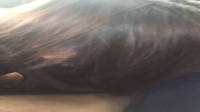 車内でフェラ